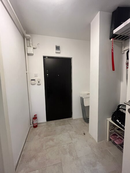 Liviu Rebreanu, Park Lake IOR